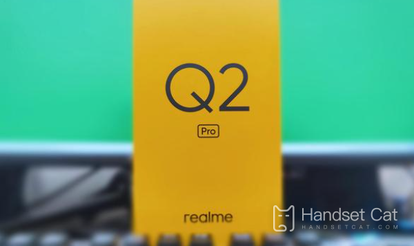 Real Me Q2 Pro