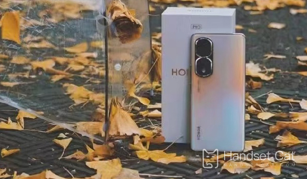 Honor 80 Pro에서 이미지 디스플레이를 설정하는 위치