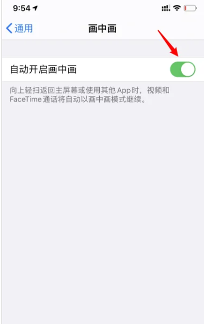 Apple 14pro PIP 활성화 튜토리얼