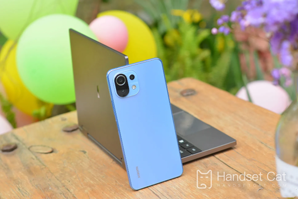 Xiaomi 11 Youth Edition prend-il en charge la charge rapide ?