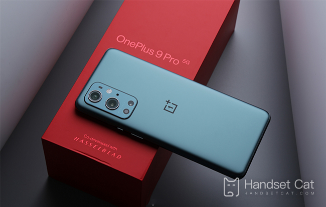 O OnePlus 9pro suporta carregamento sem fio?