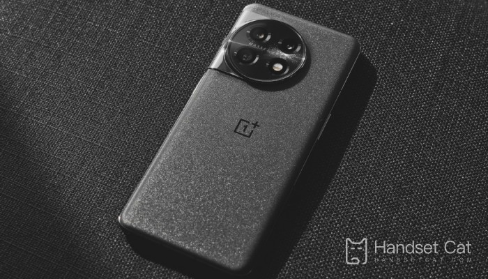 O OnePlus 11 tem lente retrato?