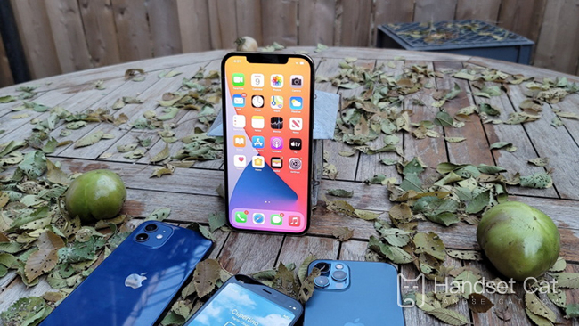 How to downgrade iPhone 12 Pro Max after upgrading IOS 16