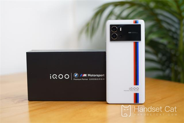 Can iQOO 9 Pro NFC swipe access control