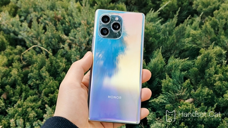 Does HONOR 60 SE support double cards and double stays