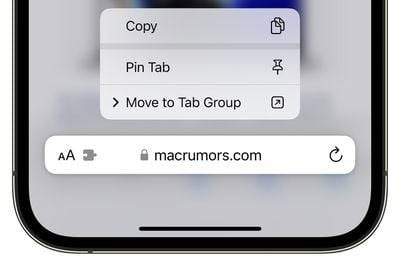 How to fix tags in Safari for iPhone14pro