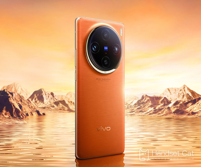 vivo X100 Pro+是什麼畫面？