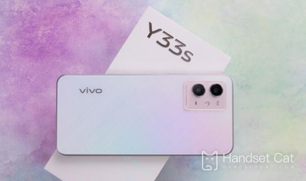 Когда будет выпущен vivo Y33?