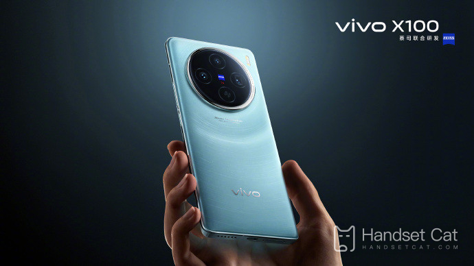 Ist das vivo X100 Pro+ ein Samsung-Bildschirm?