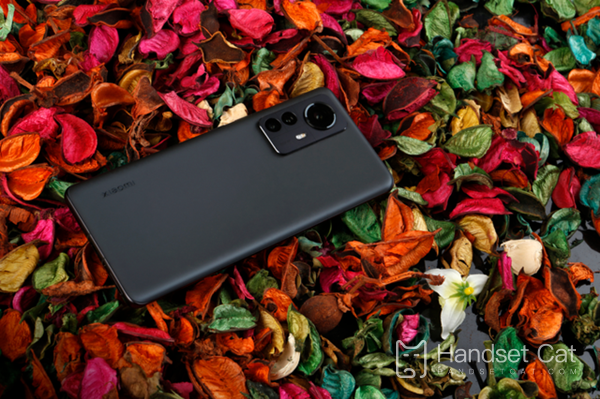 Comment prendre de bonnes photos avec Xiaomi 12 Pro Dimensity Edition