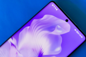 Из какого материала сделан экран Honor 80?