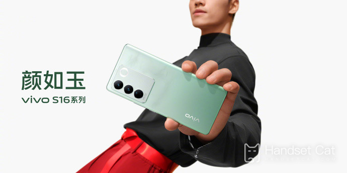 Vivo S16 Pro Gesichtszahlungseinstellungsmethode