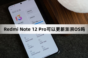 Can Redmi Note 12 Pro update ThePaper OS?
