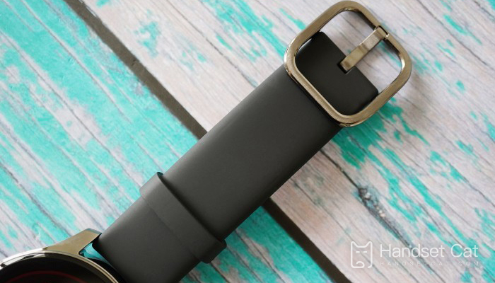 vivo WATCH 2功能介紹