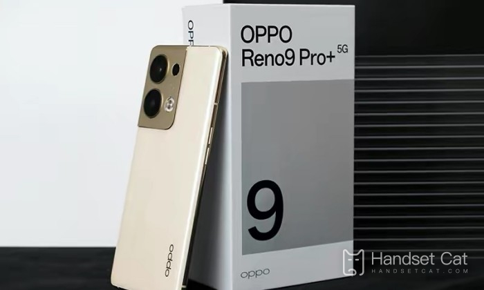 ¿Puede OPPO Reno9 Pro+ usar una tarjeta 4G?