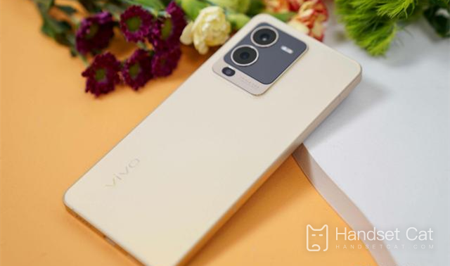 Does vivo S15 camera have anti shake function