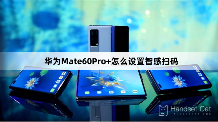 Huawei Mate60Pro+에서 스마트 코드 스캐닝을 설정하는 방법