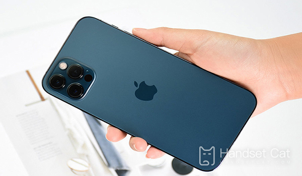 Does iPhone 12 Pro have dual cards and dual standby