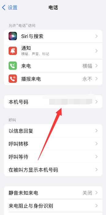 Hướng dẫn truy vấn số địa phương iPhone 13 Pro Max