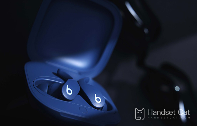 ความแตกต่างระหว่าง Beats Fit Pro เวอร์ชันสหรัฐอเมริกาและเวอร์ชันภาษาจีน