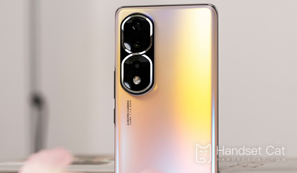 Giới thiệu kích thước màn hình Honor 80 Pro