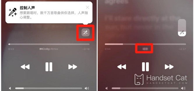 How to use the Apple Music Karaoke function