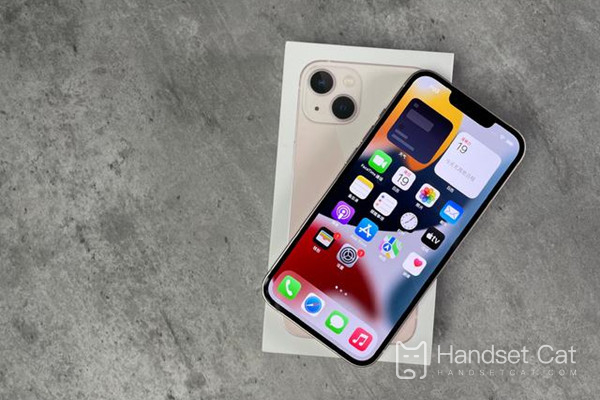 Cách bật chế độ nhà phát triển trên iPhone 14 Plus