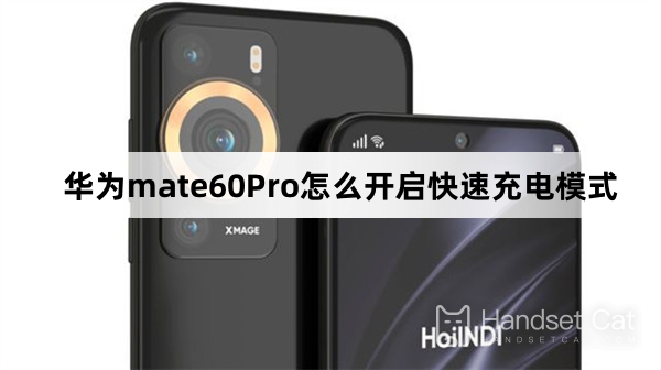 How to enable fast charging mode on Huawei mate60Pro