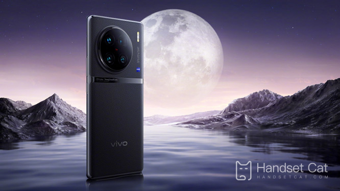 Vivo X90 Pro 러닝 스코어 데이터 소개