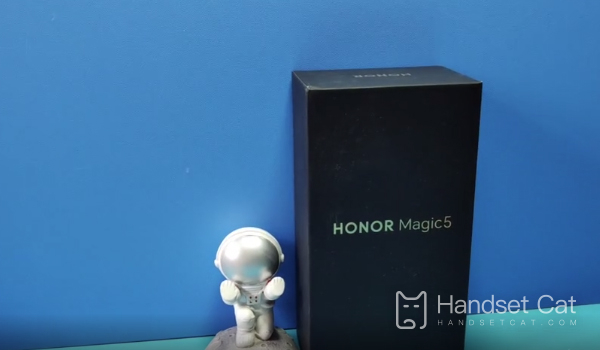 Honor Magic5에서 개인 정보 보호 공유를 활성화하는 방법