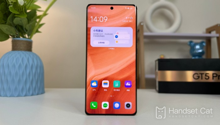Which one is better, Realme GT5Pro or iQOO12?