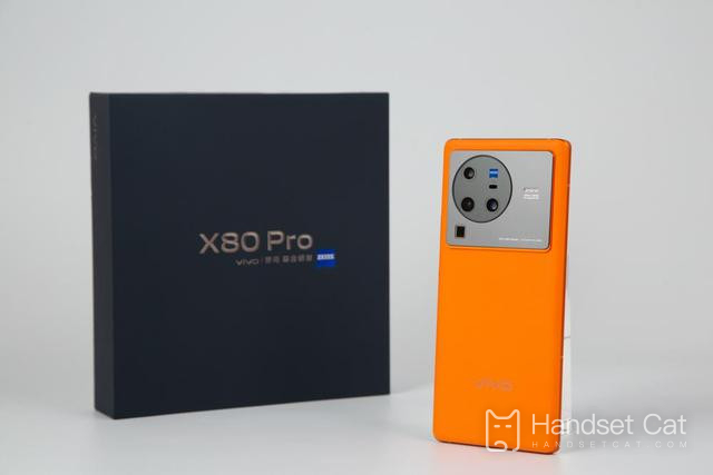 Présentation du processeur vivo X80 Pro