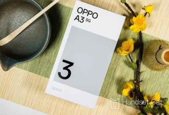 Wie lege ich Dual-SIM-Karten in OPPO A3 (5G) ein?