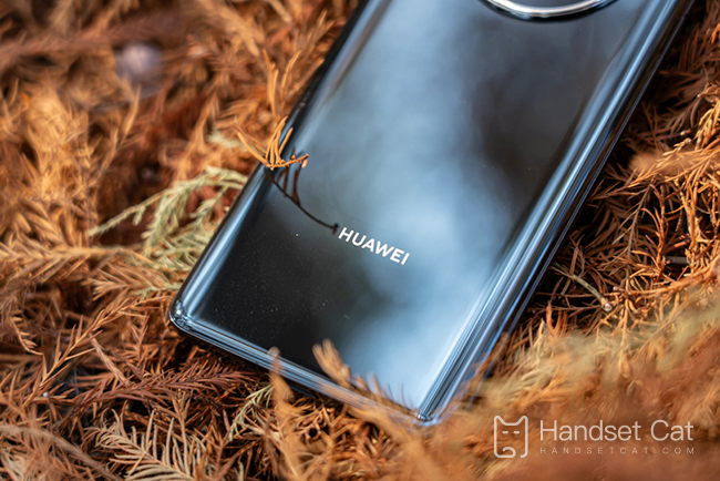 Huawei Mate 50 Proは顔認証をサポートしていますか?