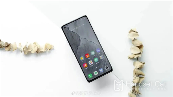 Realme Q5 Carnival Edition에는 곡면 화면이 있나요?