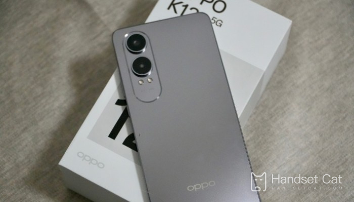 Lohnt sich der Kauf des OPPO K12x?