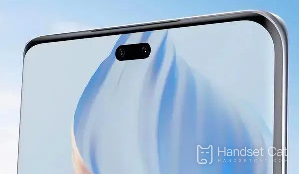 Honor 80 SE는 어떤 화면인가요?