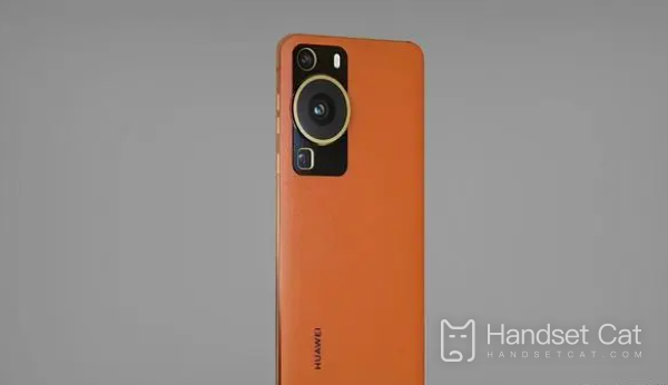 Huawei p60은 메모리 카드를 지원합니까?