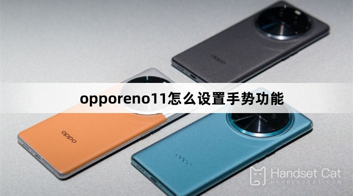 So stellen Sie die Gestenfunktion in opporeno11 ein