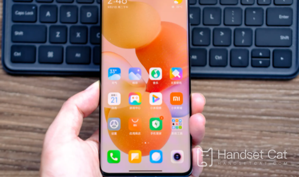 Tutorial zum erzwungenen Neustart des Mobiltelefons Xiaomi 13pro