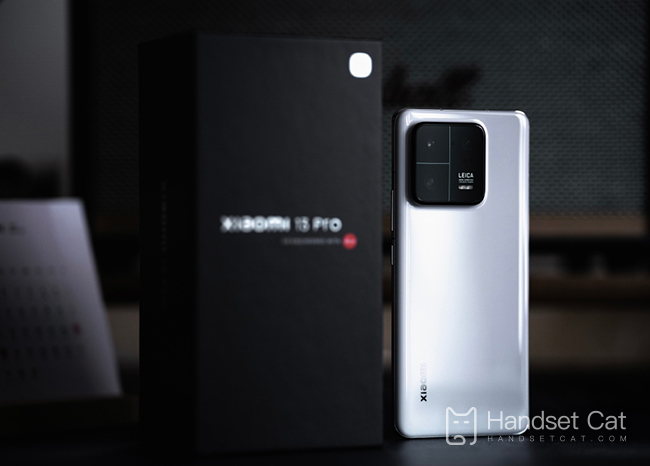 What about Xiaomi 13 Pro's blurred video