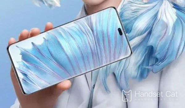 Einführung in die Farbanpassung des Honor 80 Pro