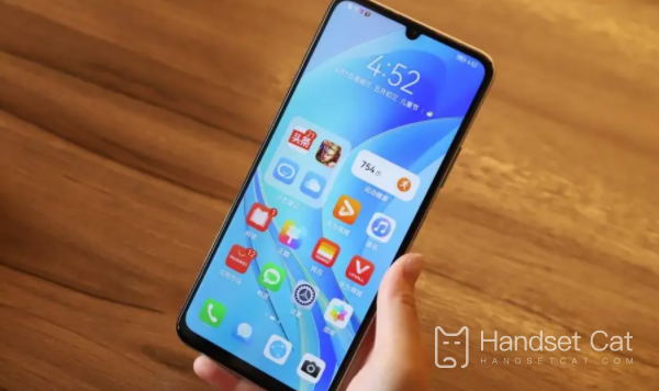 Huawei Changxiang 50z battery replacement is official or third