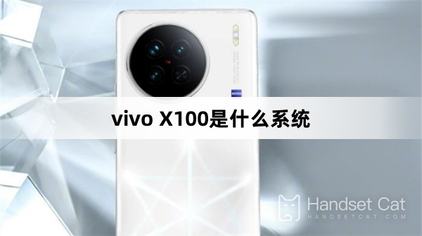 What system is vivo X100?