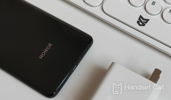 Какой экран у Honor X30?