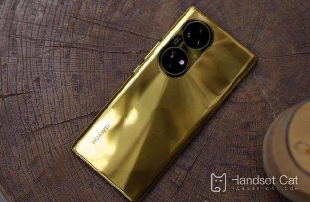 Can Huawei P60 be reverse charged