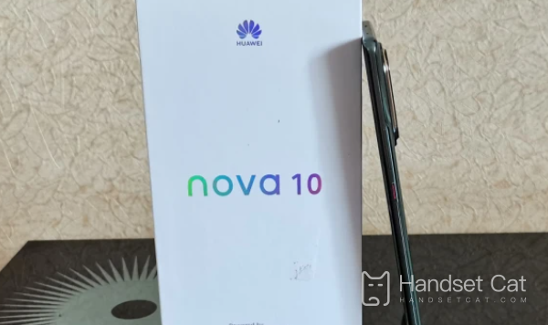 Huawei nova 10は自撮りが得意ですか?