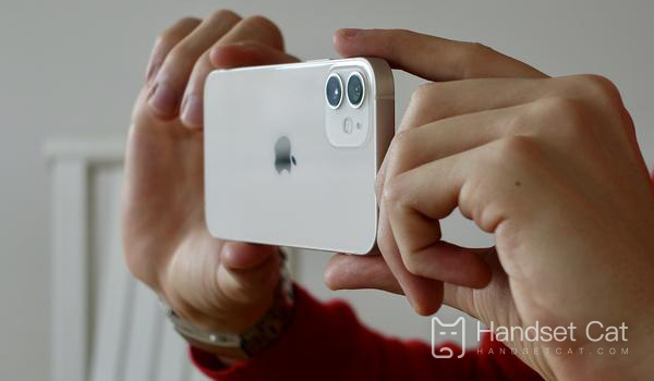 iPhone 12 mini มีฟังก์ชั่น NFC หรือไม่?