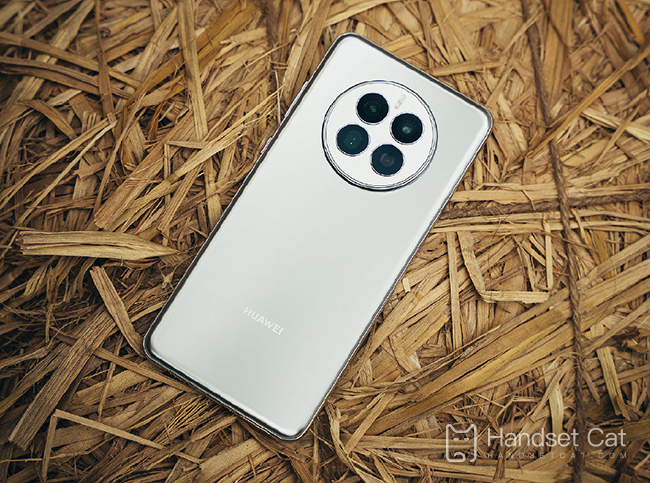 क्या Huawei Mate 50E दोहरे दूरसंचार कार्ड का समर्थन करता है?