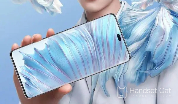 แนะนำราคาเว็บไซต์อย่างเป็นทางการของ Honor 80 Pro